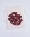 Concha de Jaspe Vermelho 40g - Kristaloterapia cristal terapia jaspe vermelho